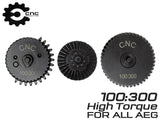 CNC Production スチールCNC ヘリカルギアセット [ギア比：100：200(23 ： 1) / 100：300(32 ： 1)]