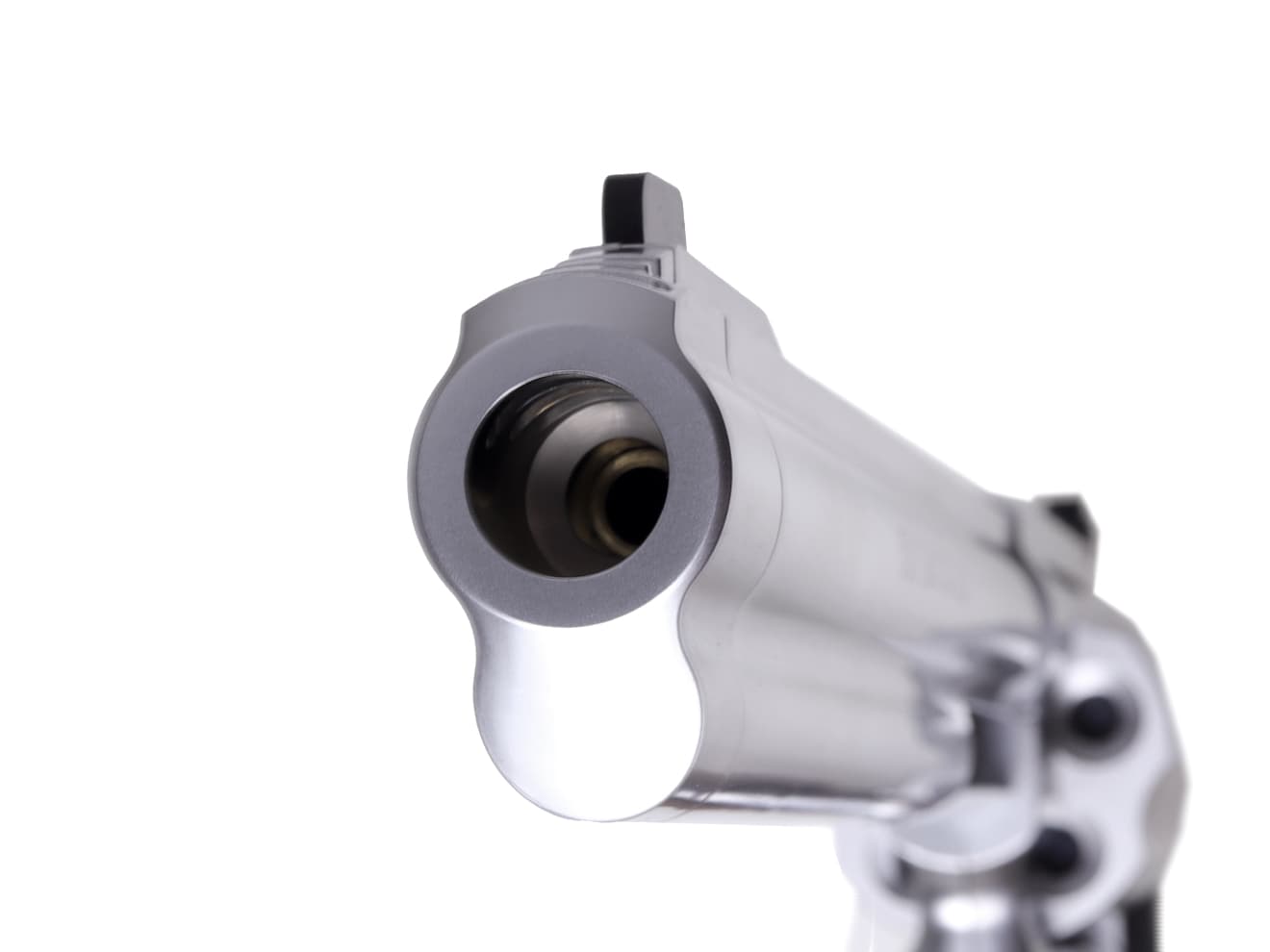 タナカワークス ガスガン S&W M500 ステンレスフィニッシュ ペガサスVer2 [サイズ：8-3/8インチ / 3+1インチ / PC 6.5インチ / PC 10.5インチ]