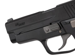 タナカワークス モデルガン SIG P228 Evo2 [バージョン：HW ブラック / HW Warm Silver Coat / M11 ALL HW]