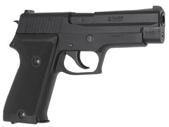 タナカワークス P220 EVO2 ALL HW モデルガン [刻印：海上自衛隊 / 陸上自衛隊]